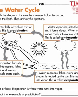 Water Cycle Worksheet Pdf Best Of Activity Worksheets Chapter 2 Worksheet Mogenk Paper Works