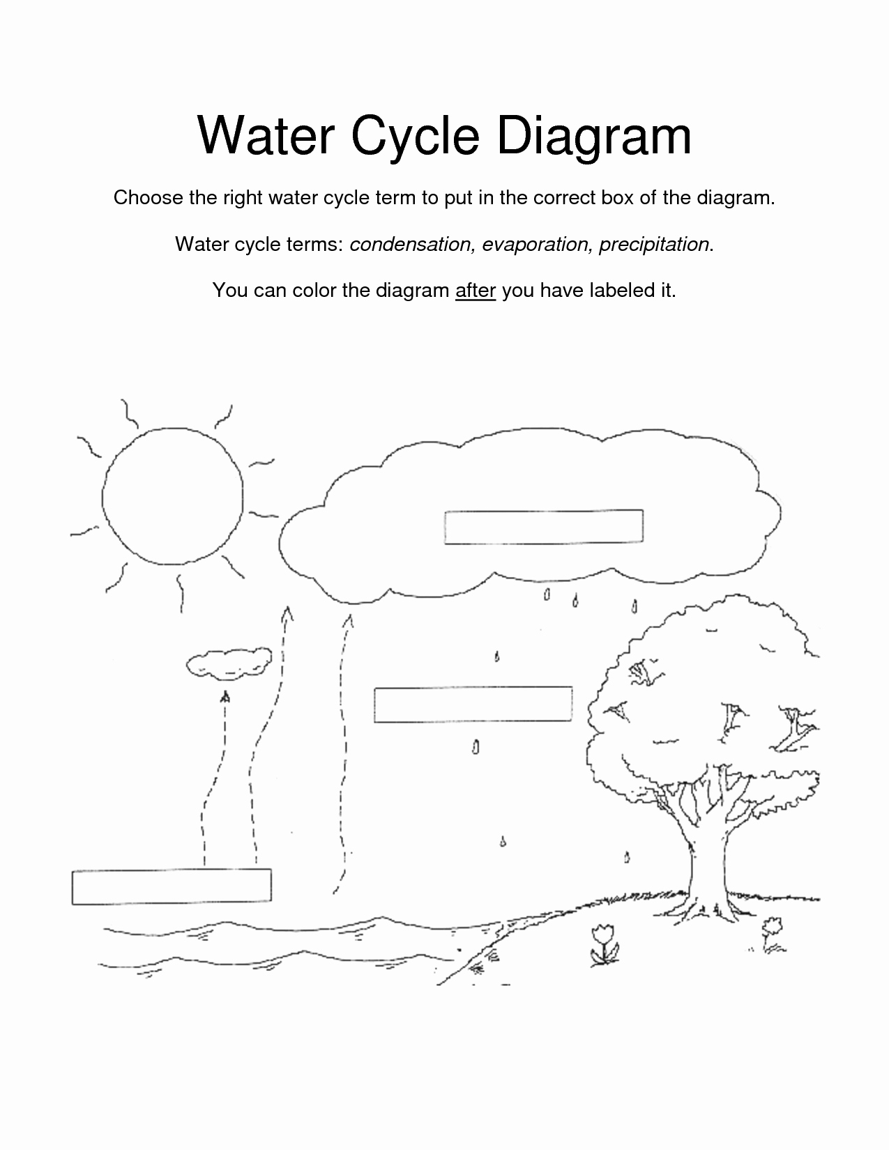 Water Cycle Worksheet Pdf Best Of Other Worksheet Category Page 920 Worksheeto
