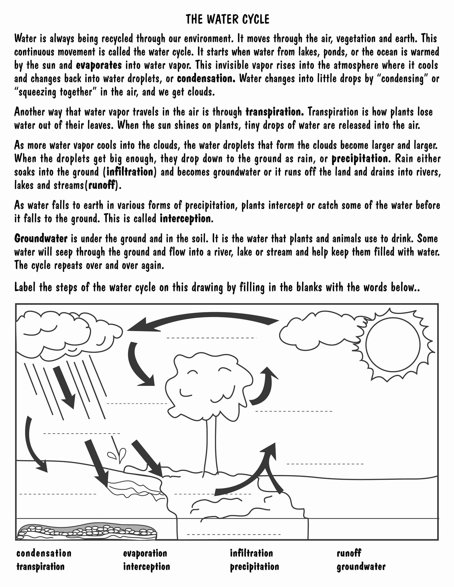 Water Cycle Worksheet Pdf Fresh Water Cycle Diagram for Kids to Label