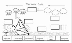 Water Cycle Worksheet Pdf Inspirational Free Science Worksheet Water Cycle