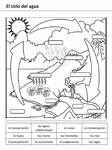 Water Cycle Worksheet Pdf Inspirational Water Cycle Lesson 1 by Rhawkes Teaching Resources Tes