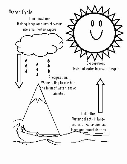 Water Cycle Worksheet Pdf Unique 9 Best Of Water Cycle Worksheets 2nd Grade 6th