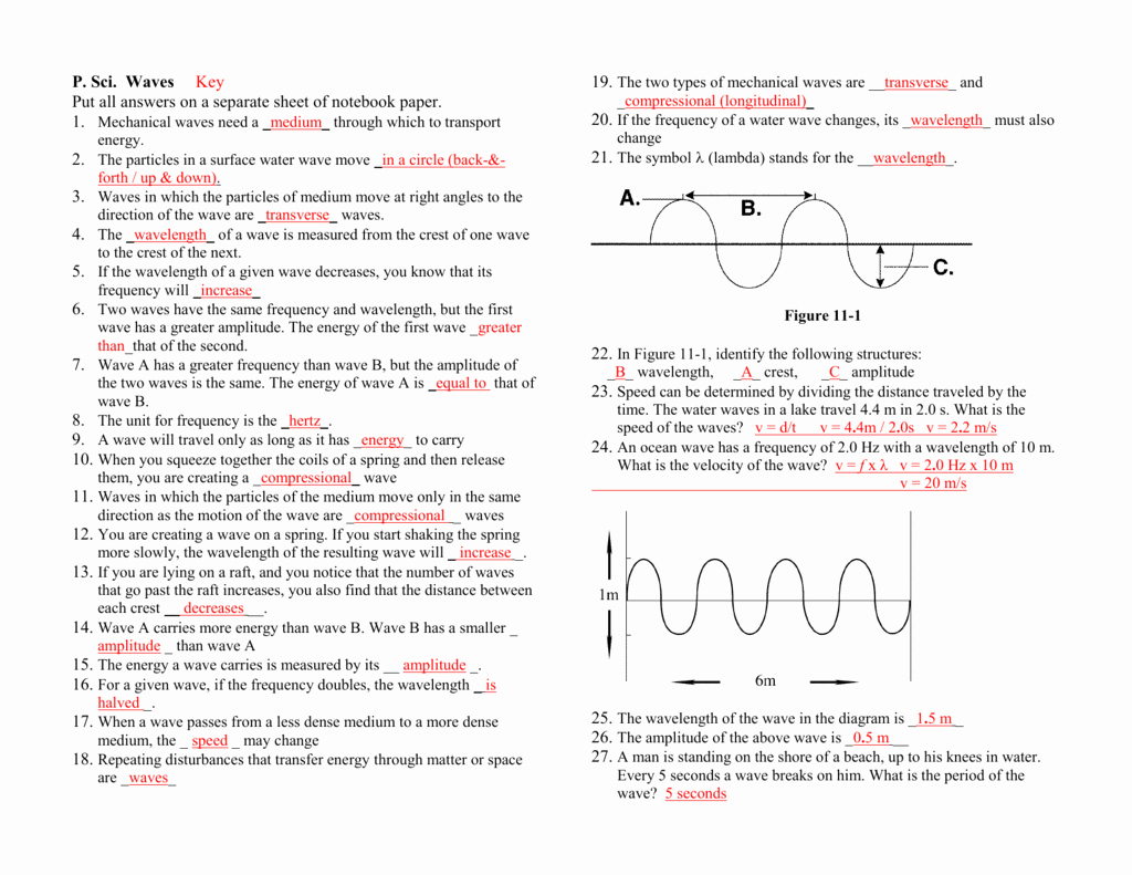 Wave Review Worksheet Answer Key Elegant Anatomy A Wave Worksheet