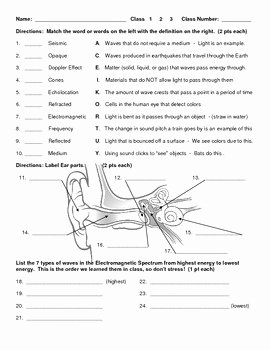 Wave Worksheet Answer Key New Waves Light and sound Unit Test with Answer Key