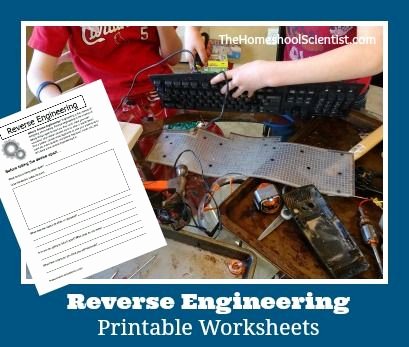 Whose Phone is This Worksheet Best Of 17 Best Images About Kids Learning On Pinterest