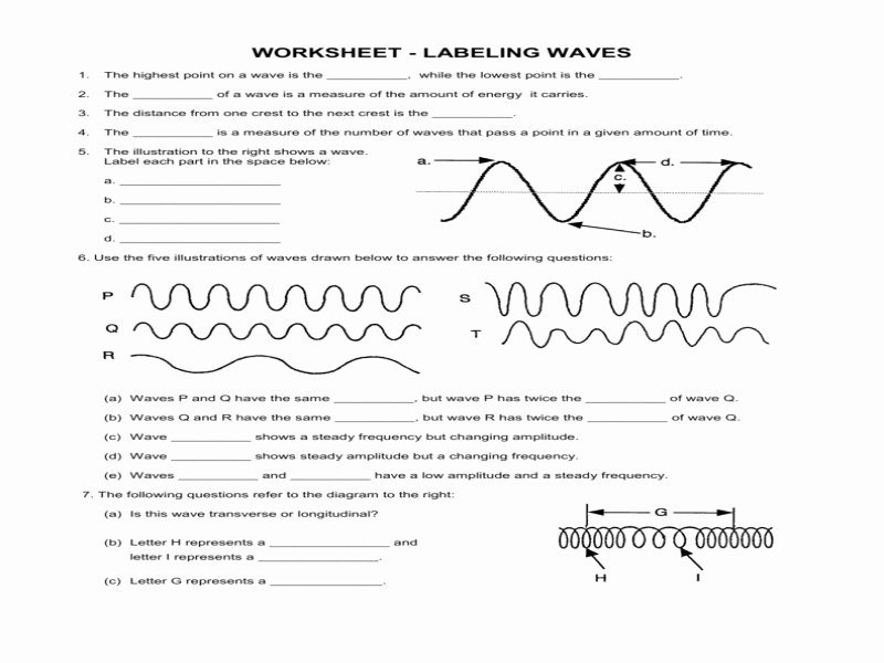 Worksheet Labeling Waves Answer Key Awesome Worksheet Labeling Waves Free Printable Worksheets