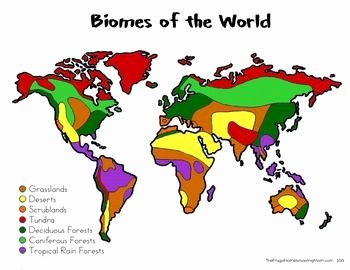 World Biome Map Coloring Worksheet Awesome Biomes Of the World Maps Full Download