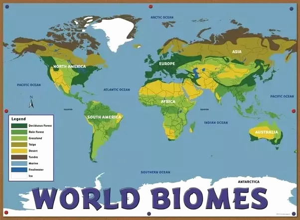 World Biome Map Coloring Worksheet Best Of What is the Difference Between A Biome and An Ecosystem