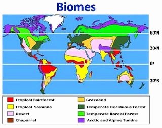 World Biome Map Coloring Worksheet New the Links Below to Learn More About the Different
