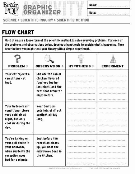 Writing A Hypothesis Worksheet Beautiful Hypothesis Writing Practice Worksheet Maker