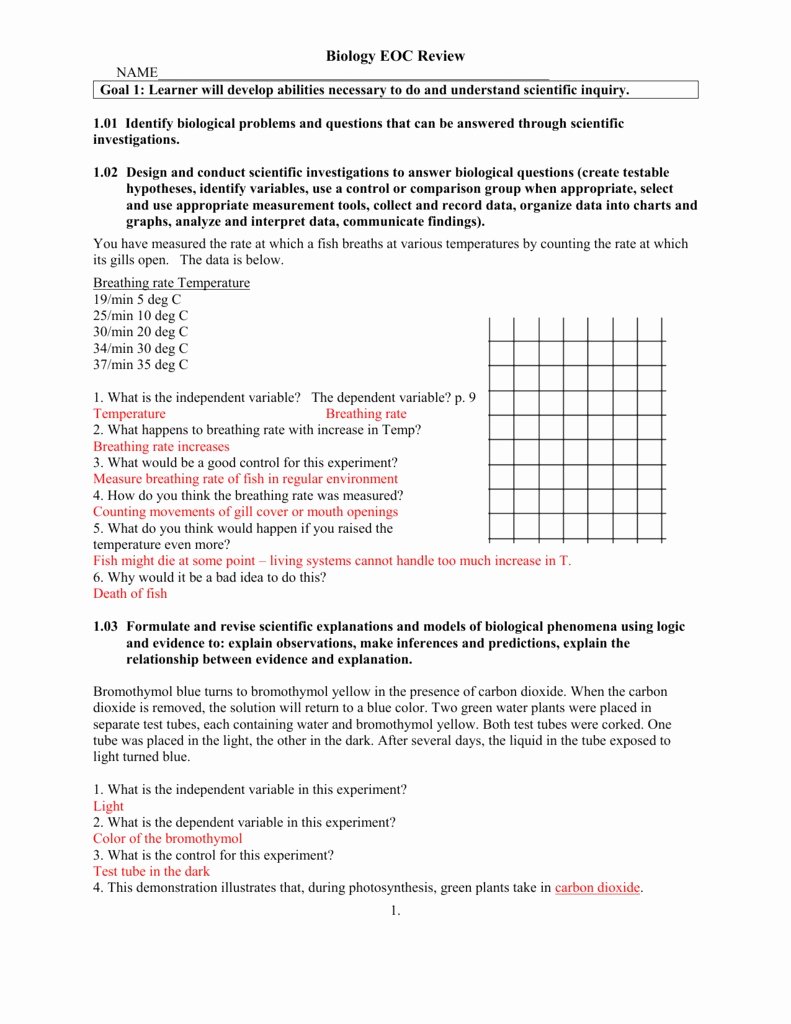50 Written Document Analysis Worksheet Answers